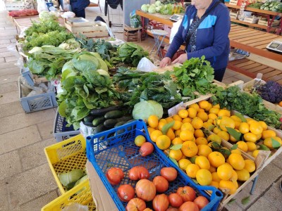 WhatsApp Image 2025-11-14 at 09.23.11.jpeg